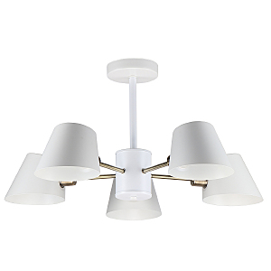 Потолочная люстра Vera MD.9130-5-S WH+AB
