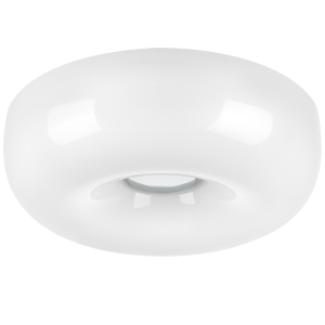 Светильник потолочный Celesta 809316