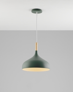 Светильник подвесной Eline V1296-1P