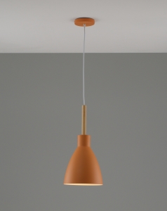 Светильник подвесной Toni V10650-1P
