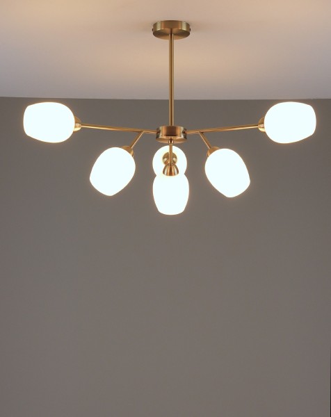 Потолочная люстра Cassy V10820-6C