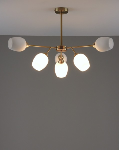 Потолочная люстра Cassy V10820-6C