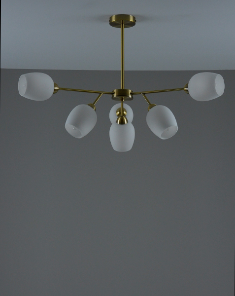 Потолочная люстра Cassy V10820-6C