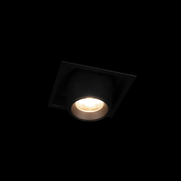 Встраиваемый светильник Flash 10319/B Black