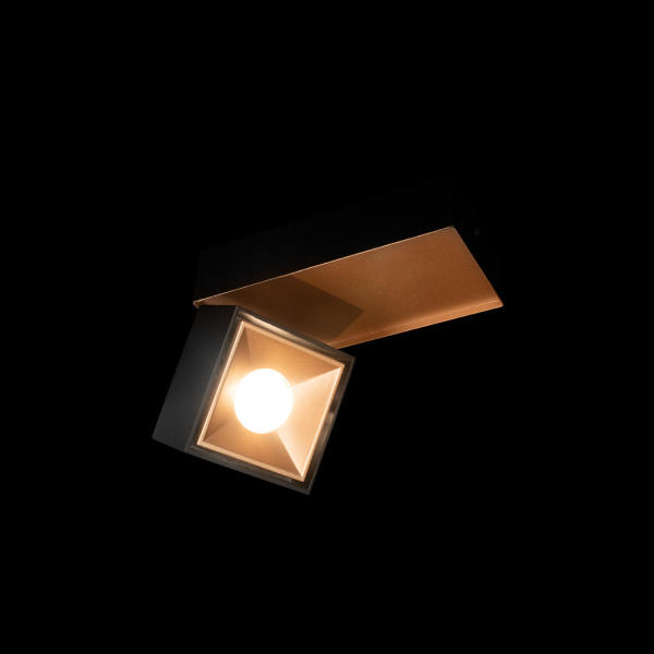 Светильник спот Knof 10324/B Gold Black