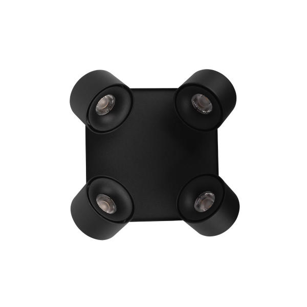 Светильник спот Case 10326 Black