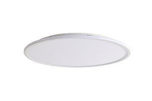 Светильник потолочный Galo ZRS.10112.13