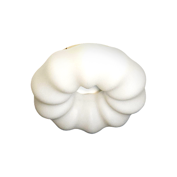 Светильник потолочный Soft ZRS.1118.2