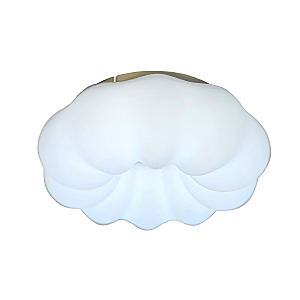 Светильник потолочный Soft ZRS.1118.2