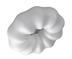 Светильник потолочный Soft ZRS.1118.3