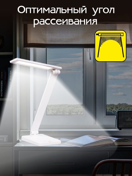 Настольная лампа Ньютон CL803080