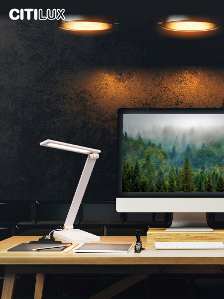 Настольная лампа Ньютон CL803080