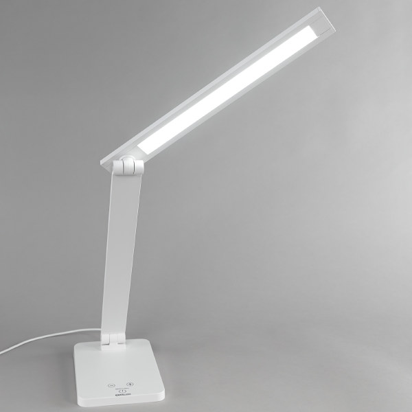 Настольная лампа Ньютон CL803080