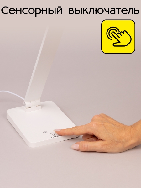 Настольная лампа Ньютон CL803080