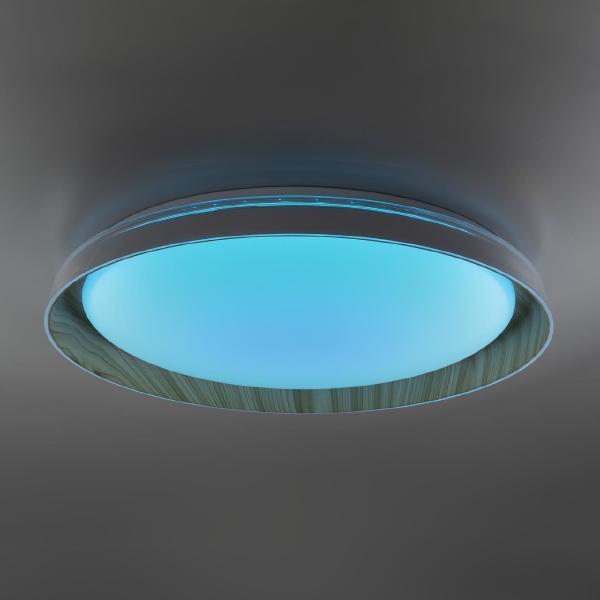 Светильник потолочный Mega CL752452G