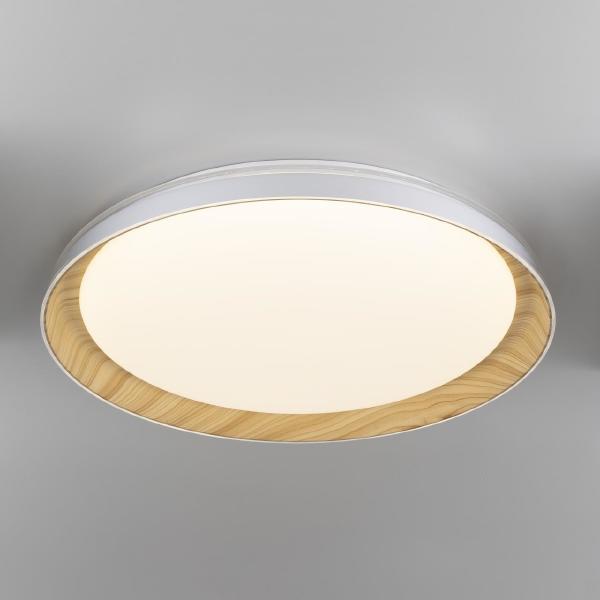 Светильник потолочный Mega CL752452G