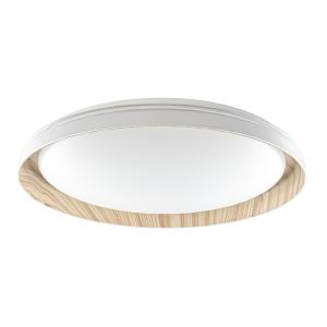 Светильник потолочный Mega CL752452G