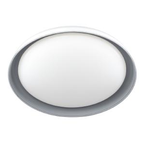 Светильник потолочный Mega CL752451G