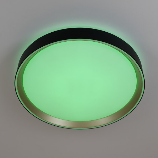 Светильник потолочный Boss CL751351G