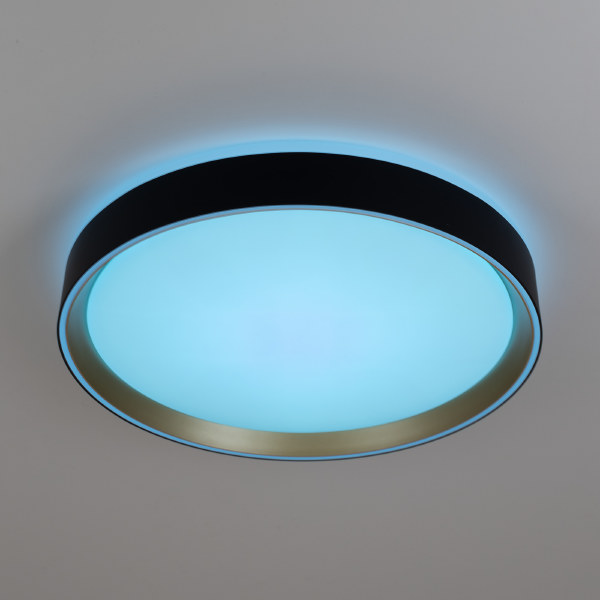 Светильник потолочный Boss CL751351G