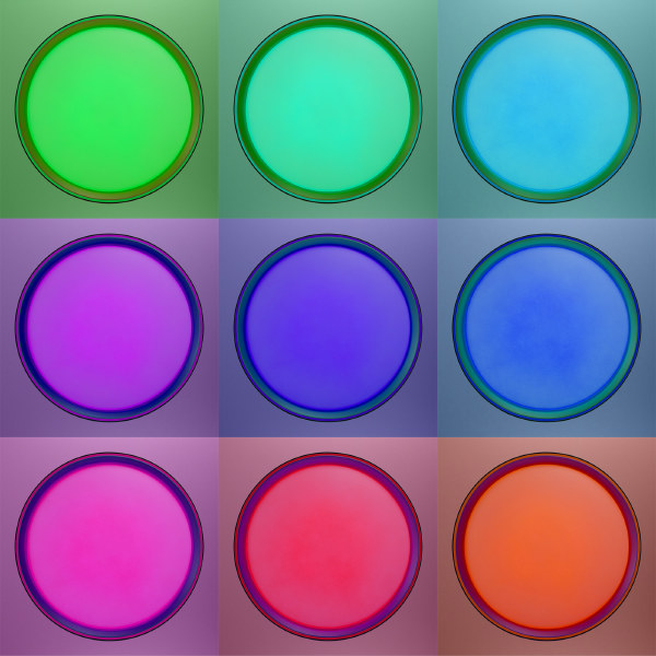 Светильник потолочный Boss CL751351G