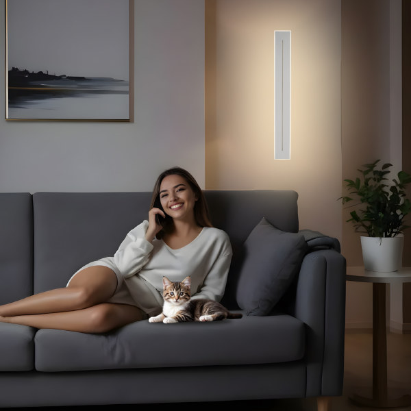 Настенный светильник Тринити CL238660