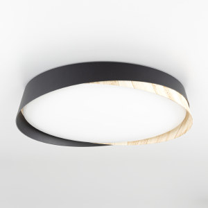 Светильник потолочный Bonny CL754351G