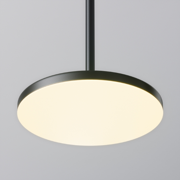 Светильник подвесной Plato P076PL-L12W3K-B