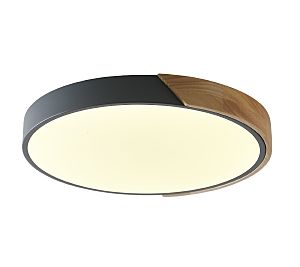 Светильник потолочный Alberro ZRS.01280.36