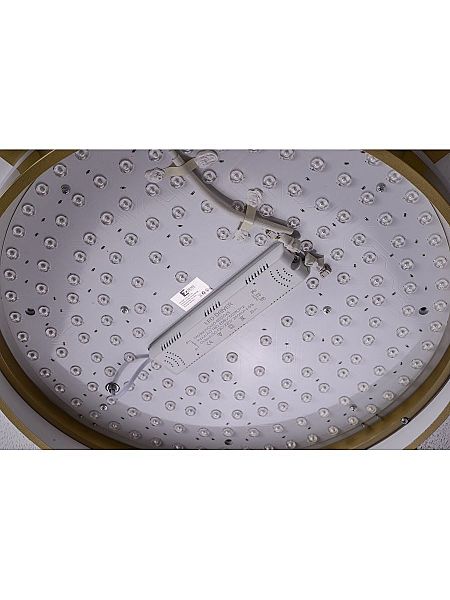 Светильник потолочный Gerda ZRS.1097.60