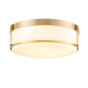 Светильник потолочный Satter 10193