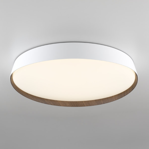 Светильник потолочный Bonny CL754450G