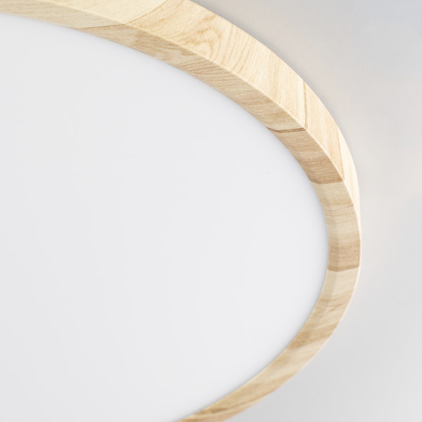 Светильник потолочный Бейсик CL738322V