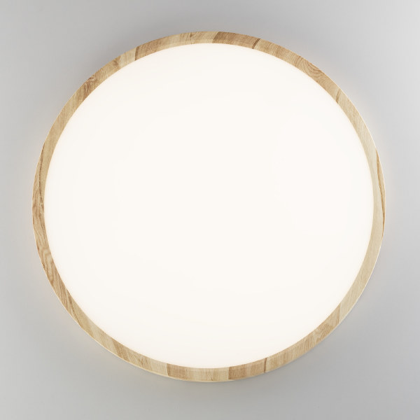 Светильник потолочный Бейсик CL738322V