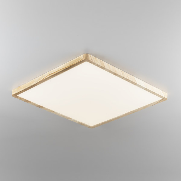 Светильник потолочный Бейсик CL738K502V