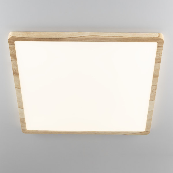 Светильник потолочный Бейсик CL738K502V