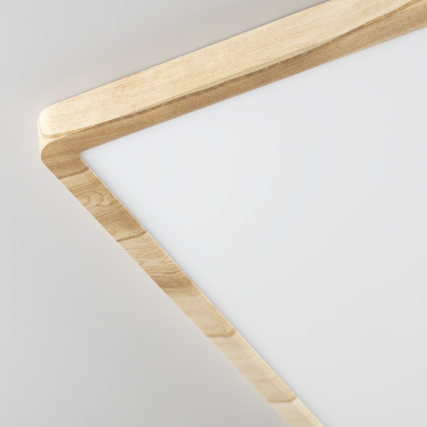 Светильник потолочный Бейсик CL738K502V