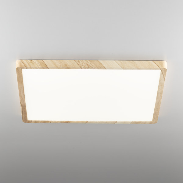 Светильник потолочный Бейсик CL738K502V