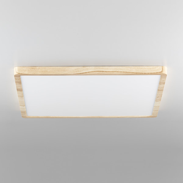 Светильник потолочный Бейсик CL738K502V