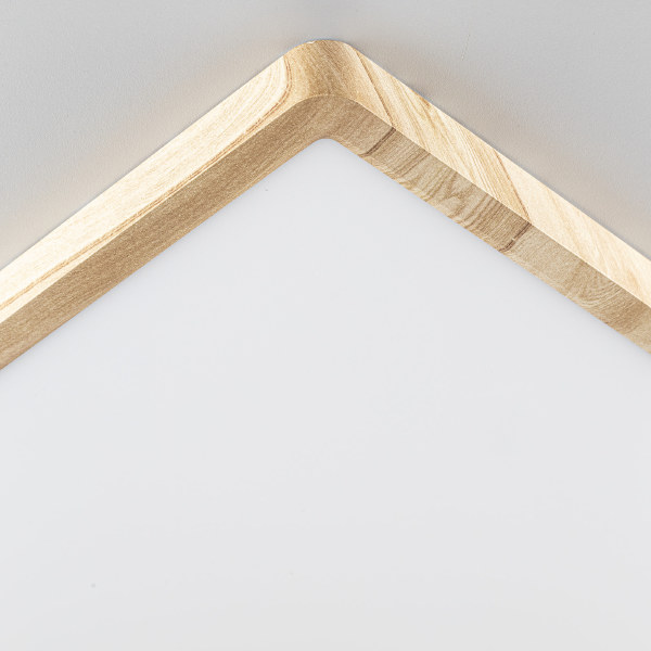 Светильник потолочный Бейсик CL738K502V