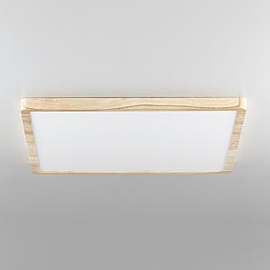 Светильник потолочный Бейсик CL738K502V