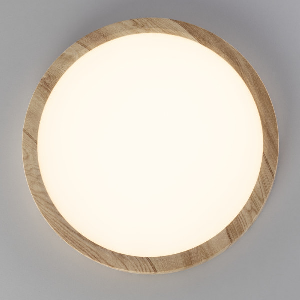 Светильник потолочный Бейсик CL738182V