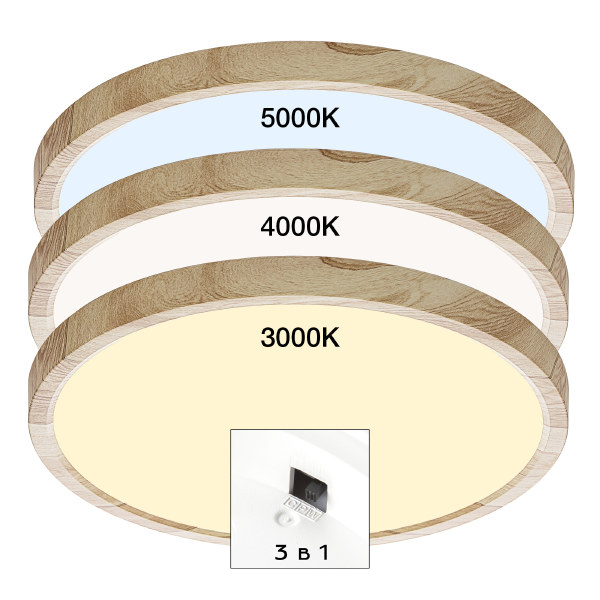 Светильник потолочный Бейсик CL738242V