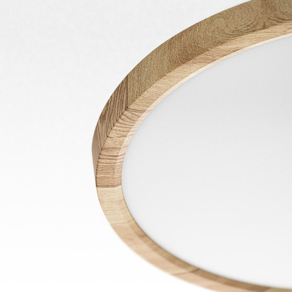 Светильник потолочный Бейсик CL738242V