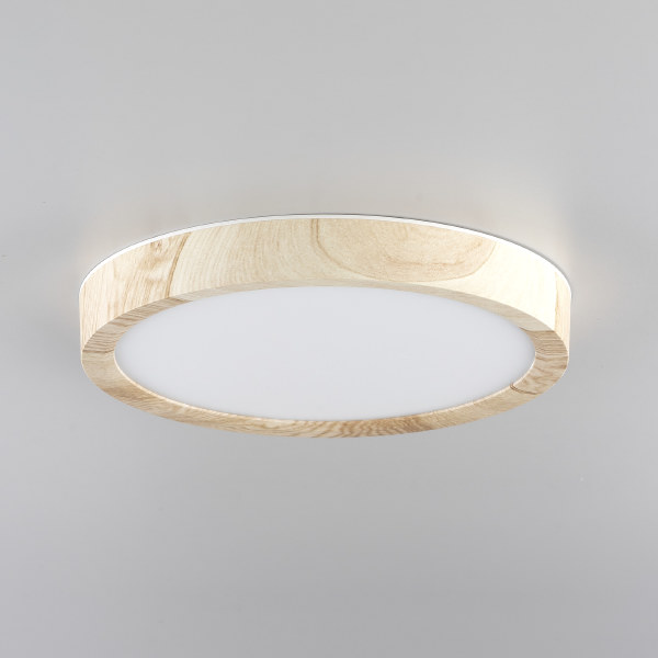 Светильник потолочный Бейсик CL738122N