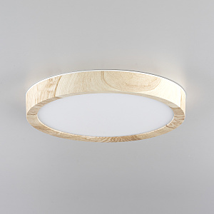 Светильник потолочный Бейсик CL738122N