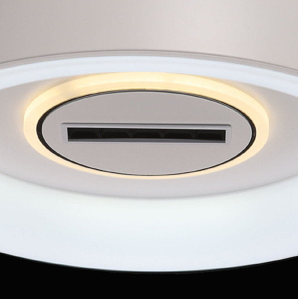 Светильник потолочный Мадлен 424014201