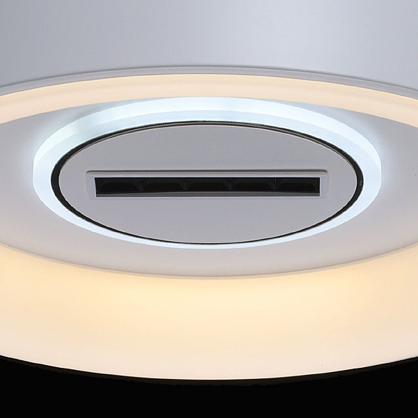 Светильник потолочный Мадлен 424014201