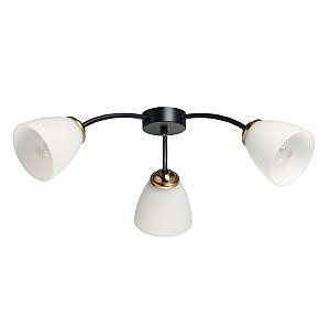 Потолочная люстра Нежность 676016903