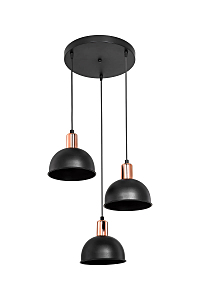 Светильник подвесной Darleen TL1638R-03BK